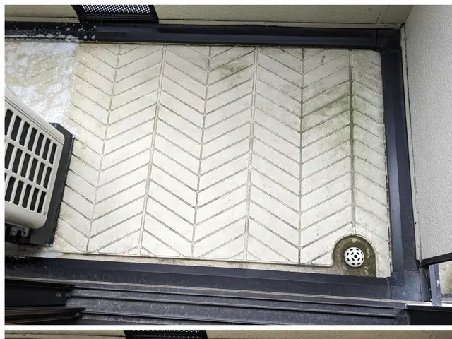 瞬殺ベランダ清掃FTSTサービスの画像