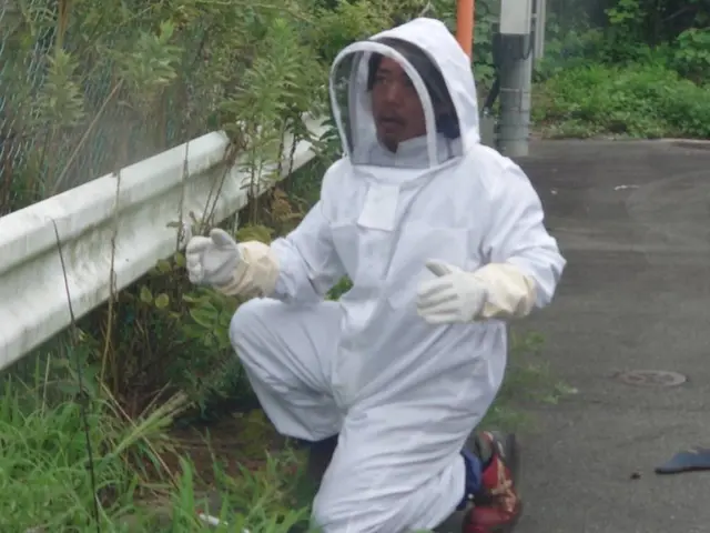 ★ハチの巣駆除★アシナガバチ8,800円～★事前見積りOKサービスの画像