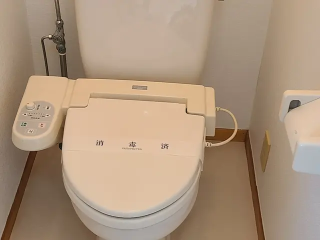 トイレクリーニング※必ず女性と2人作業で女性のお客様も安心※PayPay支払い可サービスの画像