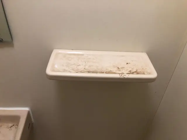 《関東中心》安心の損害保険加入済み♪大手での業務経験あり◎サービスの画像