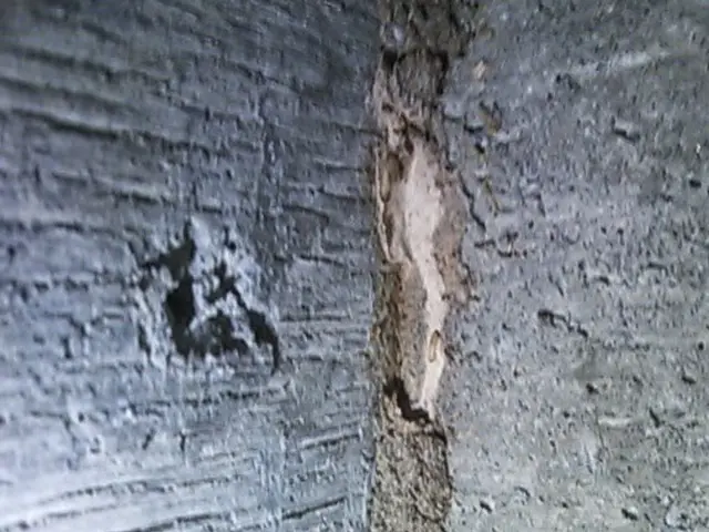 【業界30年以上の経験と実績】薬剤散布をしないシロアリ対策でご家族の健康に貢献サービスの画像