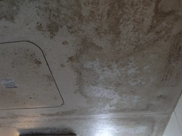 【真面目な清掃】お風呂全体をスッキリ清潔に！丁寧な手作業が自慢ですサービスの画像