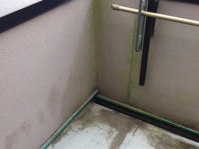 掃除で一番後回しになるのがベランダです。汚れがこびりつくと大変。頑張ります！サービスの画像