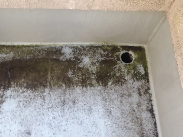 掃除で一番後回しになるのがベランダです。汚れがこびりつくと大変。頑張ります！サービスの画像