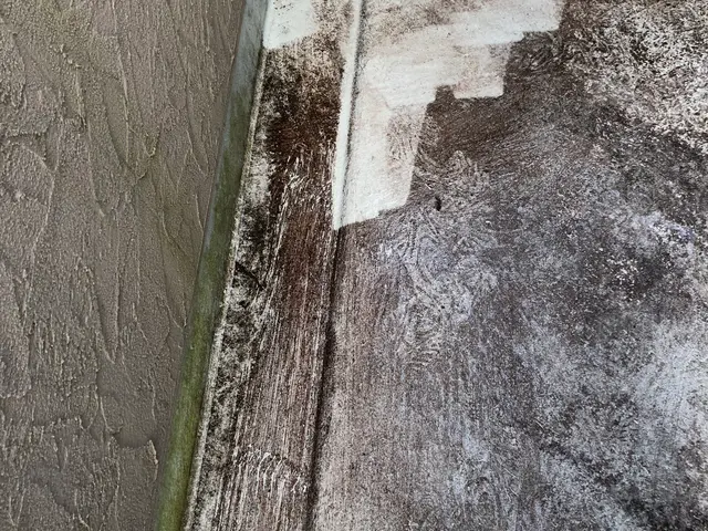 掃除で一番後回しになるのがベランダです。汚れがこびりつくと大変。頑張ります！サービスの画像