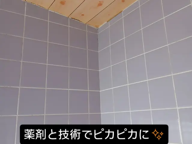 お風呂+換気扇清掃【女性スタッフ必ず同行】年中無休で営業中サービスの画像