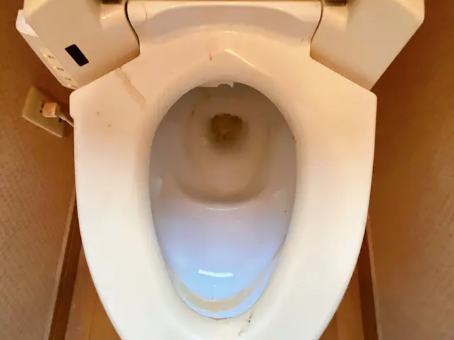 【諦めていた汚れもスッキリ！】プロの技術で、見違えるほどの美しさに♪サービスの画像