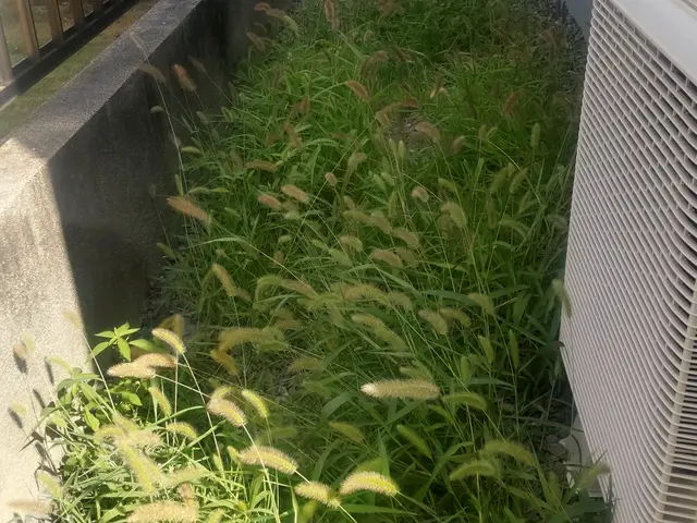 車椅子や自転車、ハイヒールでも歩きやすく、車の乗り入れも可能です。(要見積もり)サービスの画像