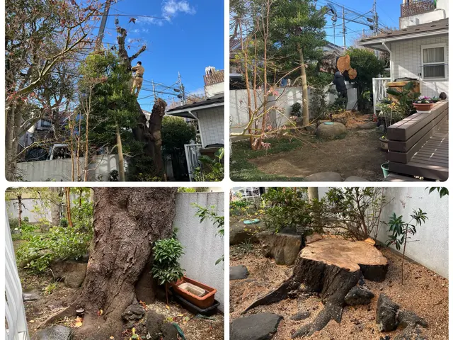 ☆明るいお庭へ大変身！笑顔にさせてみせます^^　難所・高所作業は得意分野です☆サービスの画像