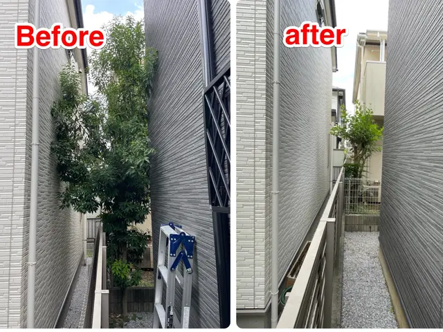 ☆明るいお庭へ大変身！笑顔にさせてみせます^^　難所・高所作業は得意分野です☆サービスの画像