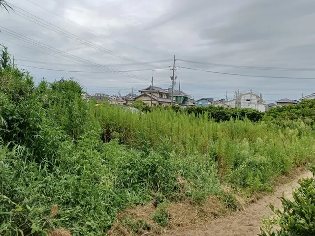 【浜松市】除草作業のことでしたらお任せください。安心をお届けします。サービスの画像