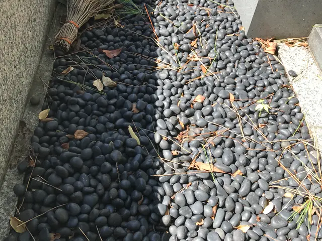 【掃除のプロが丁寧にご対応】新聞にも掲載されたお墓掃除代行サービスです！サービスの画像