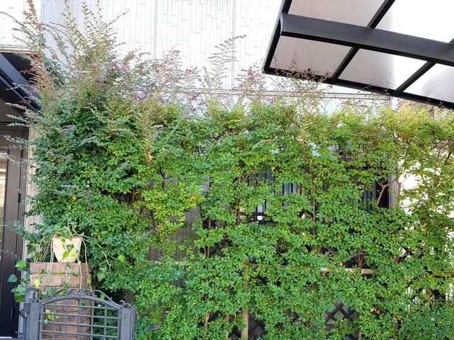 猛暑の前にお手入れを♪親切·丁寧·をモットーに♪綺麗にします。サービスの画像