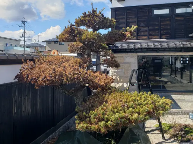 猛暑の前にお手入れを♪親切·丁寧·をモットーに♪綺麗にします。サービスの画像