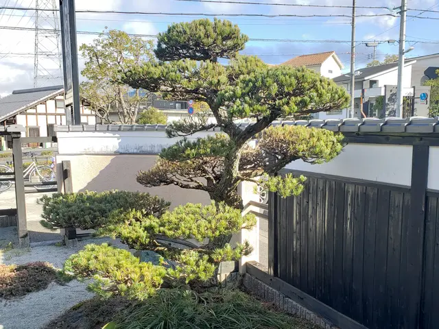 猛暑の前にお手入れを♪親切·丁寧·をモットーに♪綺麗にします。サービスの画像