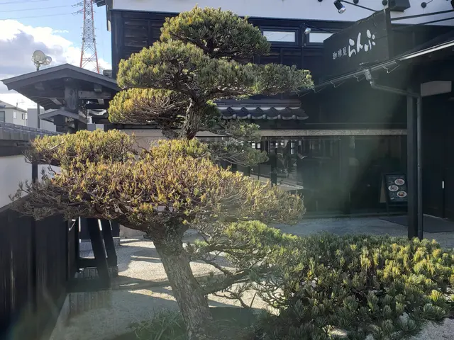 猛暑の前にお手入れを♪親切·丁寧·をモットーに♪綺麗にします。サービスの画像