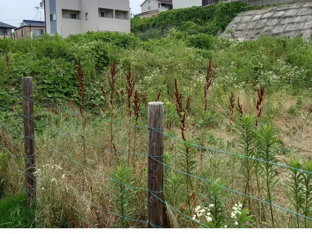 自衛隊敷地内も対応実績あり！15年の経験で安心◎迅速対応します！！サービスの画像