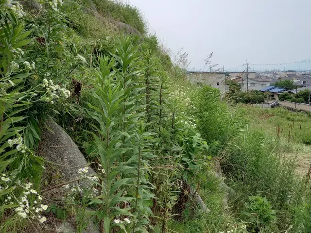 自衛隊敷地内も対応実績あり！15年の経験で安心◎迅速対応します！！サービスの画像