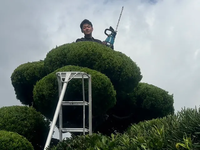 伐採します！サービスの画像