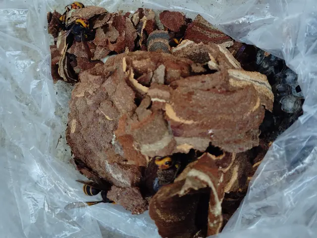 【福島県密着】大手便利屋での経験有!!　　即日対応OK◎営業時間外も対応OK◎サービスの画像