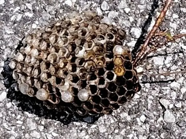 【福島県密着】大手便利屋での経験有!!　　即日対応OK◎営業時間外も対応OK◎サービスの画像