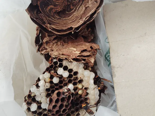 【福島県密着】大手便利屋での経験有!!　　即日対応OK◎営業時間外も対応OK◎サービスの画像