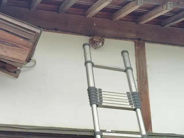 【福島県密着】大手便利屋での経験有!!　　即日対応OK◎営業時間外も対応OK◎サービスの画像