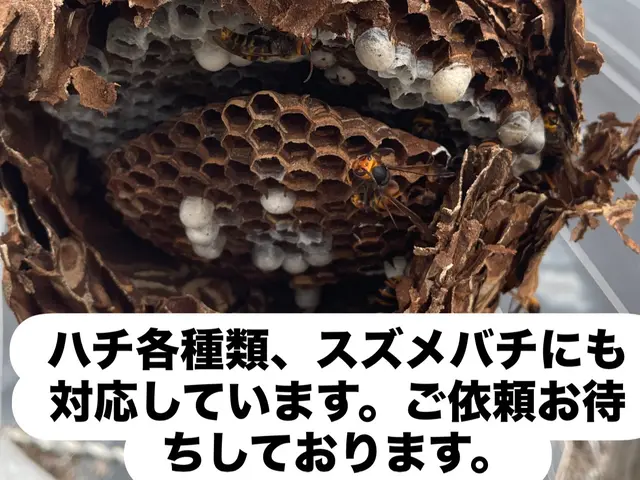 即日対応可能！無料見積もり後すぐ作業できます！サービスの画像