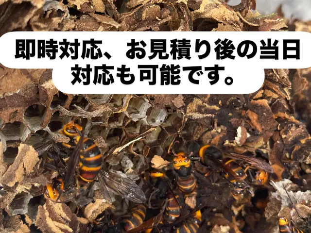 即日対応可能！無料見積もり後すぐ作業できます！サービスの画像