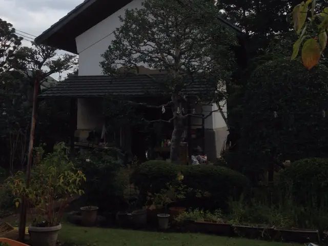 ◇草むしり(手作業)◇職人が作業終了まで丁寧に対応します！サービスの画像