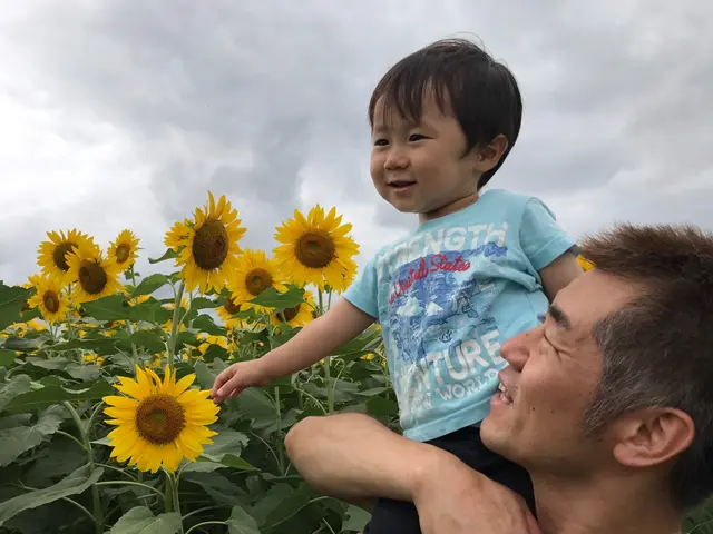 完全自社施工のふすま張替！万が一の際に備えて損害保険加入済み◎営業時間外も相談可サービスの画像