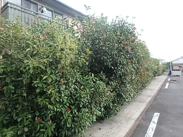 プロの技術でご満足いただけるように心を込めて作業いたしますサービスの画像