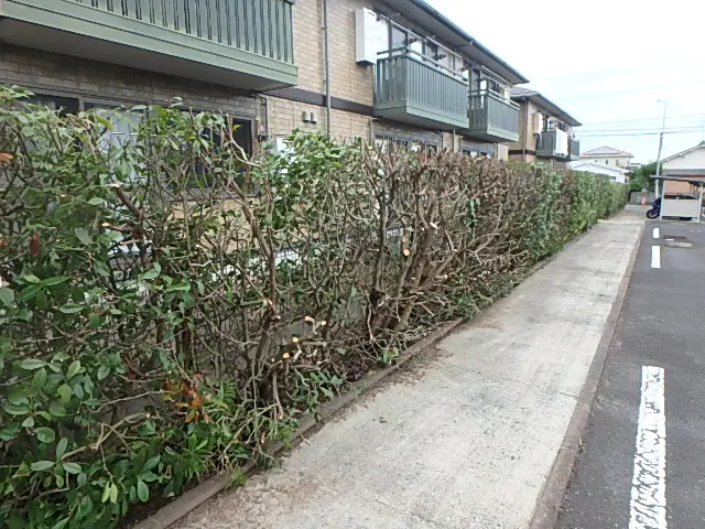 プロの技術でご満足いただけるように心を込めて作業いたしますサービスの画像