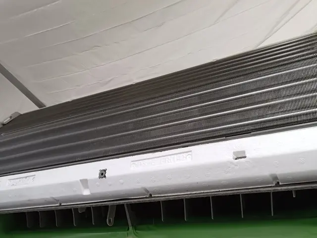 【自然由来洗剤で安心】お掃除機能OK▶︎損害保険加入済み◉丁寧さ重視♫徹底養生★サービスの画像