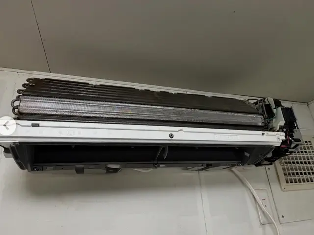 【自然由来洗剤で安心】お掃除機能OK▶︎損害保険加入済み◉丁寧さ重視♫徹底養生★サービスの画像