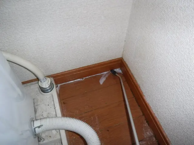 【ペストコントロール技術者が施工致します】害虫防除の専門資格者が徹底的に駆除！サービスの画像