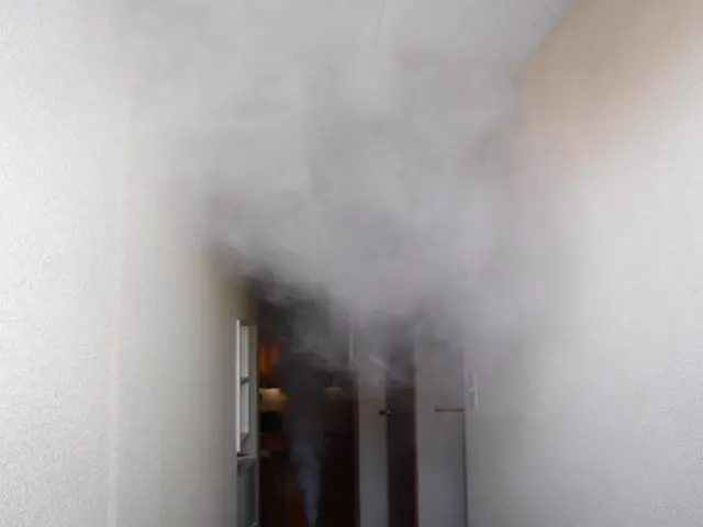 【ペストコントロール技術者が施工致します】害虫防除の専門資格者が徹底的に駆除！サービスの画像