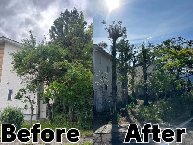 お庭を綺麗に◇ご満足いただける仕上がりをお届けします◇お気軽にご相談下さい！サービスの画像