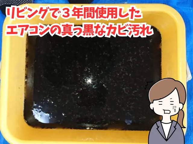 ★必ず店長がお伺い★お子様安心のエコ洗剤【今だけコート無料】サービスの画像