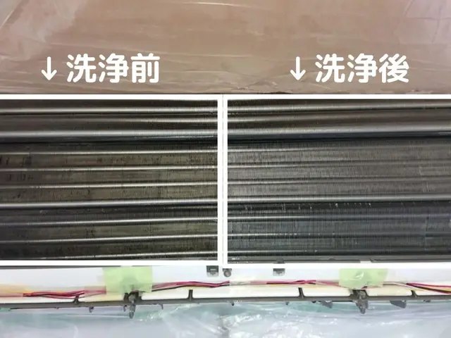 ★必ず店長がお伺い★お子様安心のエコ洗剤【今だけコート無料】サービスの画像