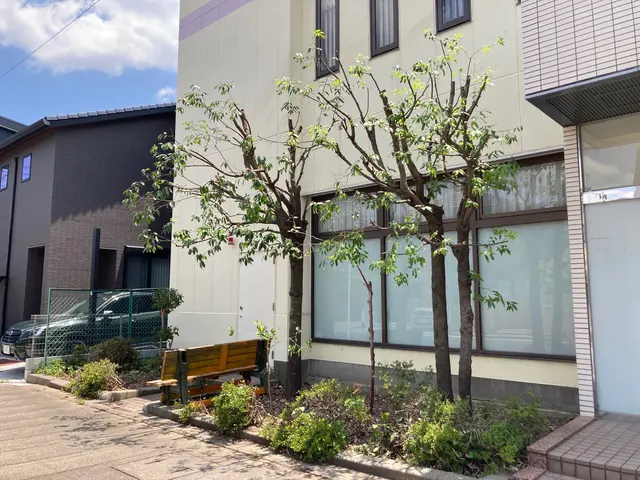 自然樹形剪定。あなたのお庭に光と風を！丁寧、迅速に対応いたします。サービスの画像