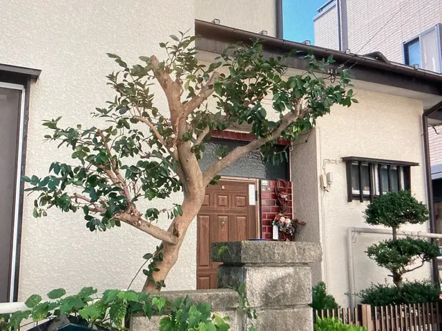 自然樹形剪定。あなたのお庭に光と風を！丁寧、迅速に対応いたします。サービスの画像