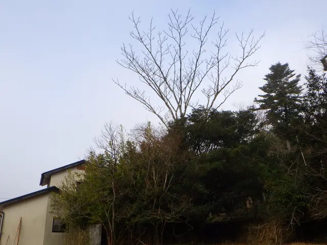 作業外注一切なし！作業にご不満の場合は無料にて追加対応いたします◎サービスの画像