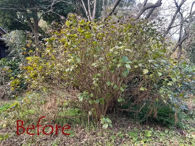 『この庭があって良かった！』と思える仕上がりに。高品質な剪定サービス。サービスの画像