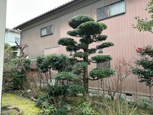 『この庭があって良かった！』と思える仕上がりに。高品質な剪定サービス。サービスの画像