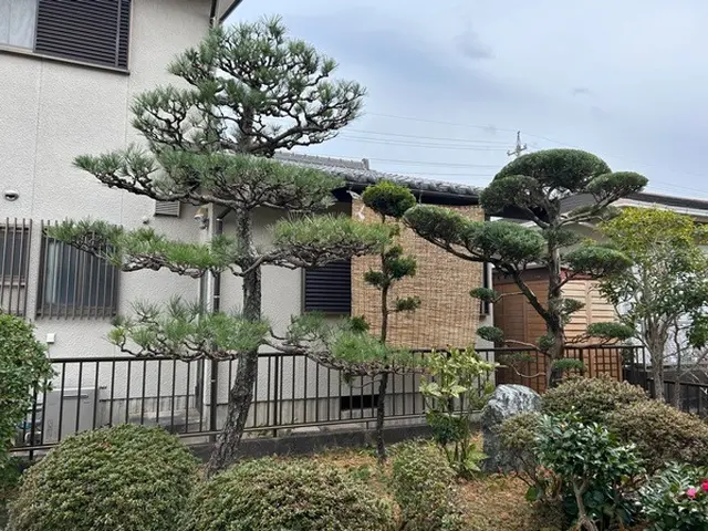 『この庭があって良かった！』と思える仕上がりに。高品質な剪定サービス。サービスの画像