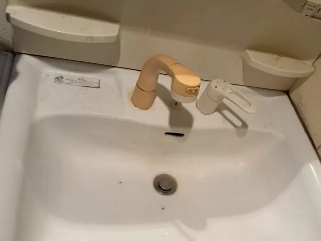 洗面所クリーニング！！サービスの画像