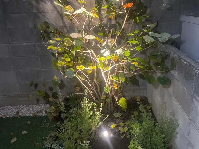 【林業経験10年】一級造園技能士がお伺い！理想のお庭づくりをお手伝いします◎サービスの画像