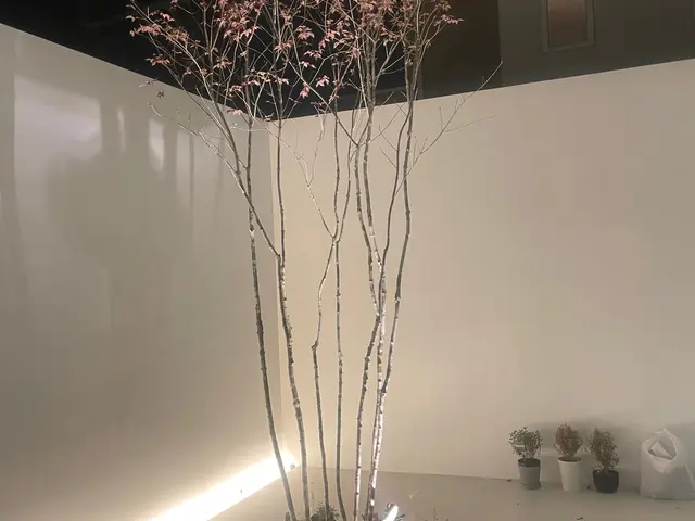 【林業経験10年】一級造園技能士がお伺い！理想のお庭づくりをお手伝いします◎サービスの画像