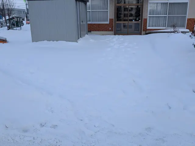 除雪作業やりますサービスの画像